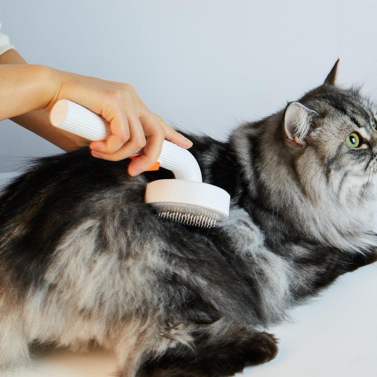 Четка за разресване на козина без скубане Petkit Brush 2