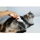 Четка за разресване на козина без скубане Petkit Brush 2